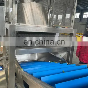 Automatic Fruit Andvegetable Salad Production and Processing Line With CE thumbnail-2