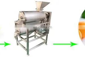 Stainless Steel Coconut Milk Screw Industrial Fruit Apple Watermelon Mango Pineapple Juice Crusher Juicer Extractor Machine thumbnail-3