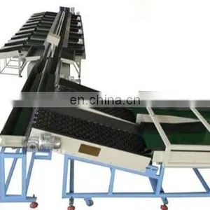 Large Capacity Onion Garlic Grading Machine Processing Line thumbnail-1
