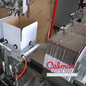 Form-Insert-Seal Case Packer Monoblock Cartoning Machine thumbnail-2