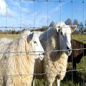 Hot Dipped Galvanized Cattle Fence Fixed Knot Field Fence for Ranch Livestock thumbnail-4