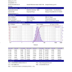 Winner2309B Modular Wet and Dry Laser Particle Size Analyzer thumbnail-5