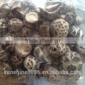 High Quality Dried Shiitake Flower Mushroom thumbnail-3
