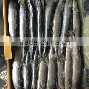 2015 Seafrozen Pacific Saury Whole Round 1#:120-140g/pc thumbnail-2