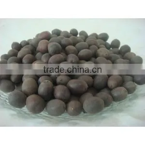 DRIED BLACK LOTUS SEED BEST QUALITY_MOST COMPETITIVE PRICE thumbnail-1