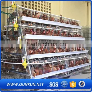 Samples of Poultry House for Layers thumbnail-5
