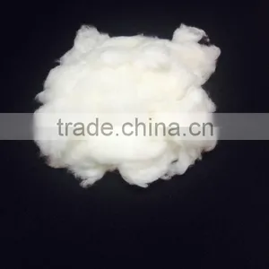 Cotton Shoddy thumbnail-1
