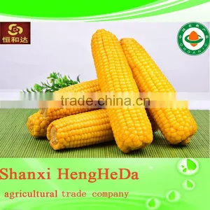 China Online Shopping With Certification Yellow Maize thumbnail-4