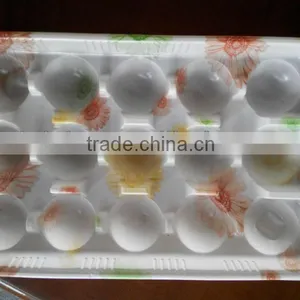New Efficient Plastic Thermoforming Machine thumbnail-1