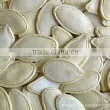 New Crop Shine Skin Pumpkin Seeds -13mm thumbnail-1