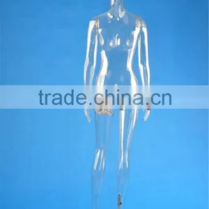 Full Body Transparent Plastic Mannequin thumbnail-2
