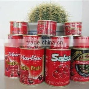 Top Quality Tomato Paste, Ketchup 800gram thumbnail-4