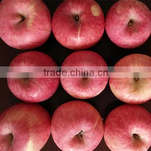 Top Fresh Fuji Apple for Indian Delicious Fuji Apple thumbnail-1