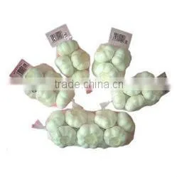 6.5cm-chinese Fresh Pure White Garlic thumbnail-1