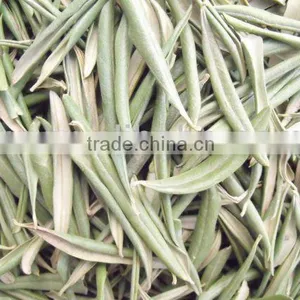 Dried Olive Leaves thumbnail-1
