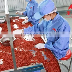 Dried Goji Berry thumbnail-6