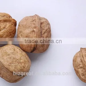 China OriginBulk Walnut in Shell thumbnail-4