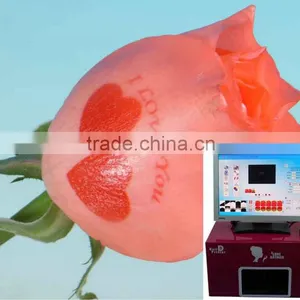 Unique Flower Printer thumbnail-1