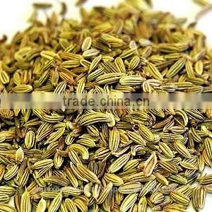 Aniseed Oil thumbnail-1