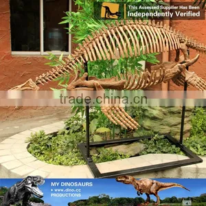 MY Dino-C075 Small Fake Skeletons for Home Decoration thumbnail-4