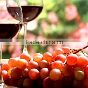 The Best Quality Winery Fermentation Tanks thumbnail-1