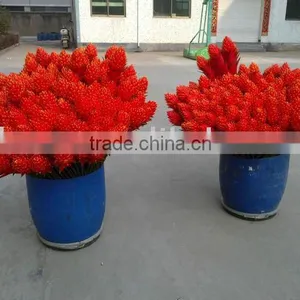 Artificial Plant High End Tropical Presentation thumbnail-1