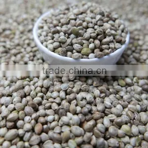 Hemp Seeds 2016 Crop thumbnail-3