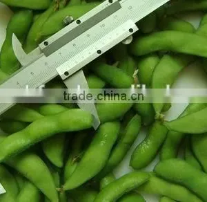 IQF Fresh Soybeans thumbnail-1
