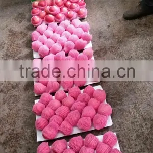 Hot Sale Chinese Fuji Apple thumbnail-2