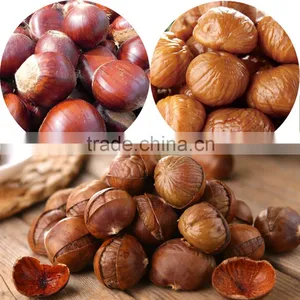 2015 Best Fresh Wholesale Chestnut thumbnail-4