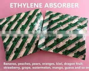 Dalian Xinyang Import & Export Co., Ltd. company overview - view 2 thumbnail