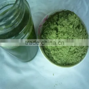 2015 Organic Wheat Juice Green Powder thumbnail-6