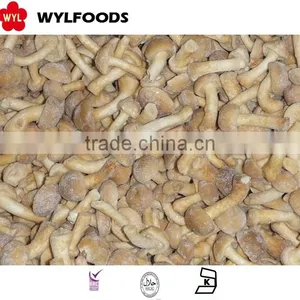 IQF Mushroom Grade B Nameko Wholesale Price thumbnail-2