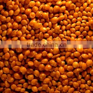 Red Millet thumbnail-1