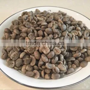 Arabica Green Coffee Beans thumbnail-1