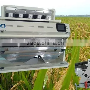 Super Intelligent Rice Color Sorter Machine With Super Service and Maintennance thumbnail-1