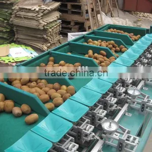 Melon Grading Machine Sorter Grader thumbnail-2