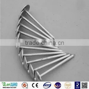 Best Quanlity 2.5 Inch and 3 Inch Roofing Nails thumbnail-2