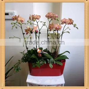 PQ5 Blue Glazed Interior Decorative Flower Pots thumbnail-1