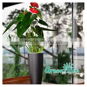 Large Tree Pots Colorful Decor Flower Pot Home and Garden thumbnail-2