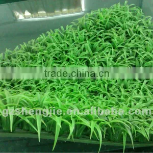 Cheap Artificial Grass Carpet for Landscape Football Use thumbnail-4