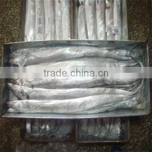Raw Yellow Fish Names thumbnail-1