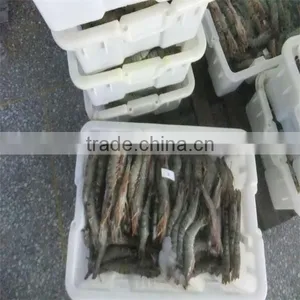 Frozen Tiger Shrimp Recipe thumbnail-1
