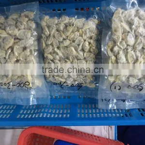 New Season High Quality Frozen Baby Clams Without Shell thumbnail-6
