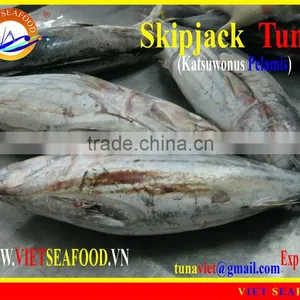 W/R FROZEN SKIPJACK TUNA thumbnail-1