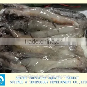 Whole Giant Loligo Peru Squid for Canning thumbnail-1