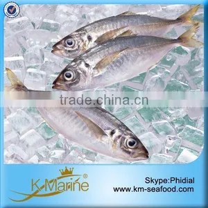 BQF Priced Fish Horse Mackerel thumbnail-1