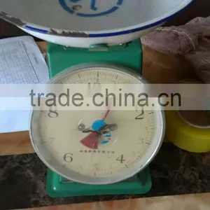 Professional 12'' Stainless Steel Butcher Meat Saw thumbnail-2