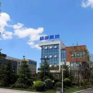 Shandong Guangmao Enterprises Co.,Ltd. company overview - view 1 thumbnail