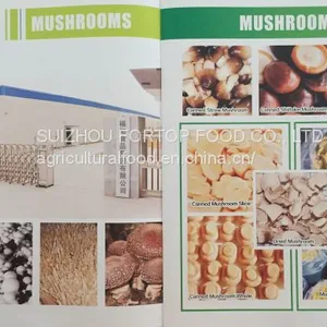 Factory Price Premium 400G Canned Mix Mushroom PNS in Brine (Pieces and Stem) thumbnail-3